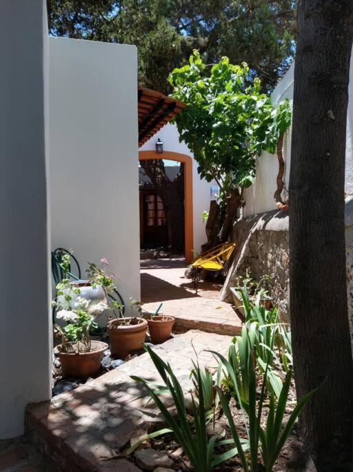 Original Y Comodo Loft En El Centro De Tulancingo Daire Dış mekan fotoğraf